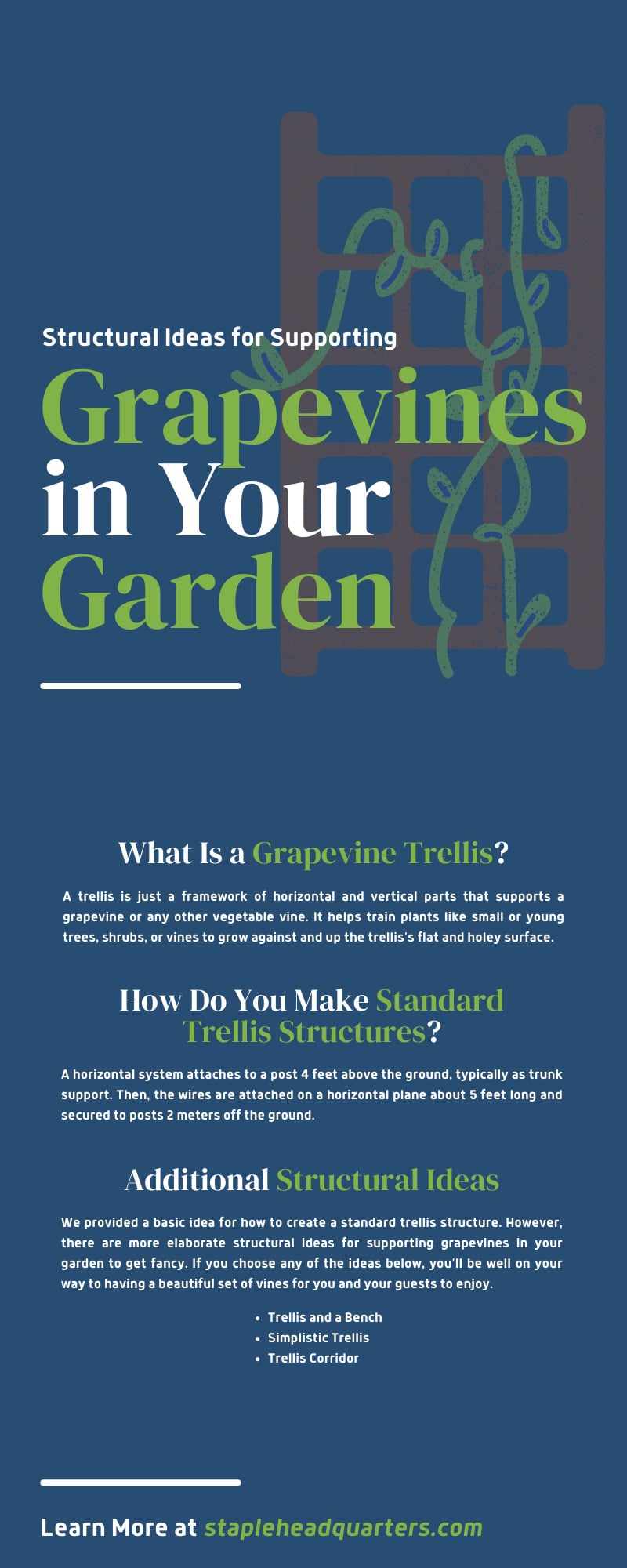 Structural Ideas for Supporting Grapevines in Your Garden