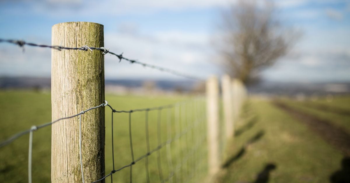 Dos and Don&rsquo;ts for Using Fencing Staples